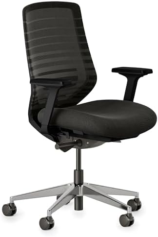 Ergonomic Chair