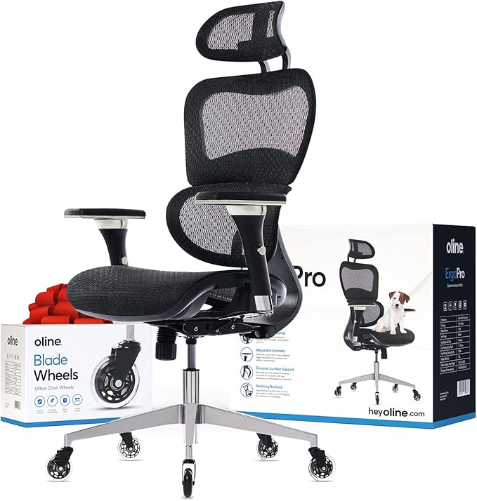 Ergonomic Office Chair