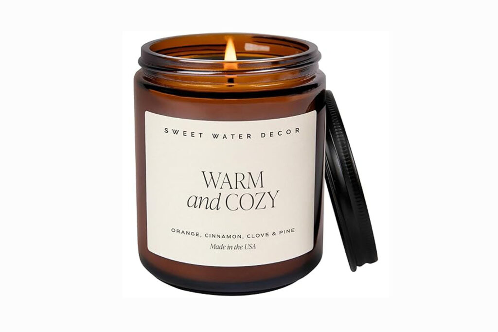 Sweet Water Decor Cinnamon Scented Candle