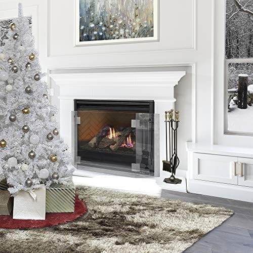 Glass Fireplace Screens
